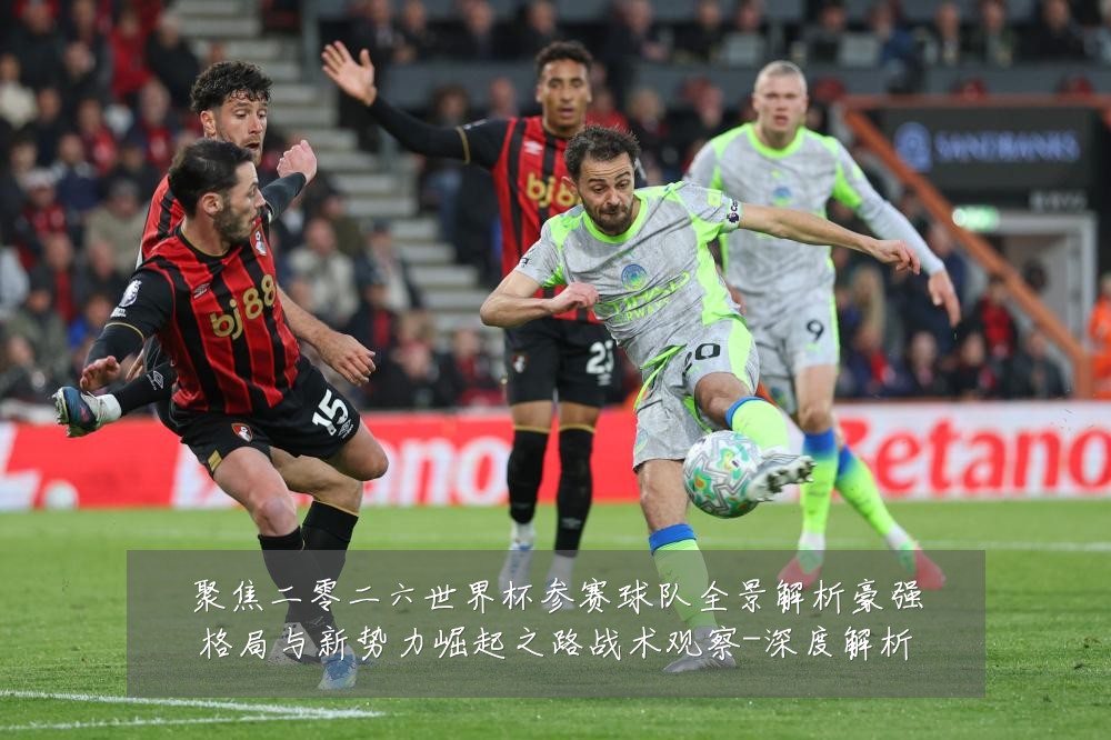 聚焦二零二六世界杯参赛球队全景解析豪强格局与新势力崛起之路战术观察-深度解析